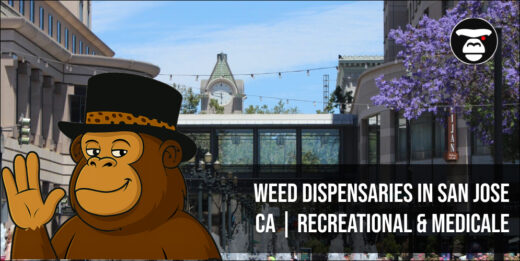 Weed Dispensaries in San Jose CA Recreational & Medicale